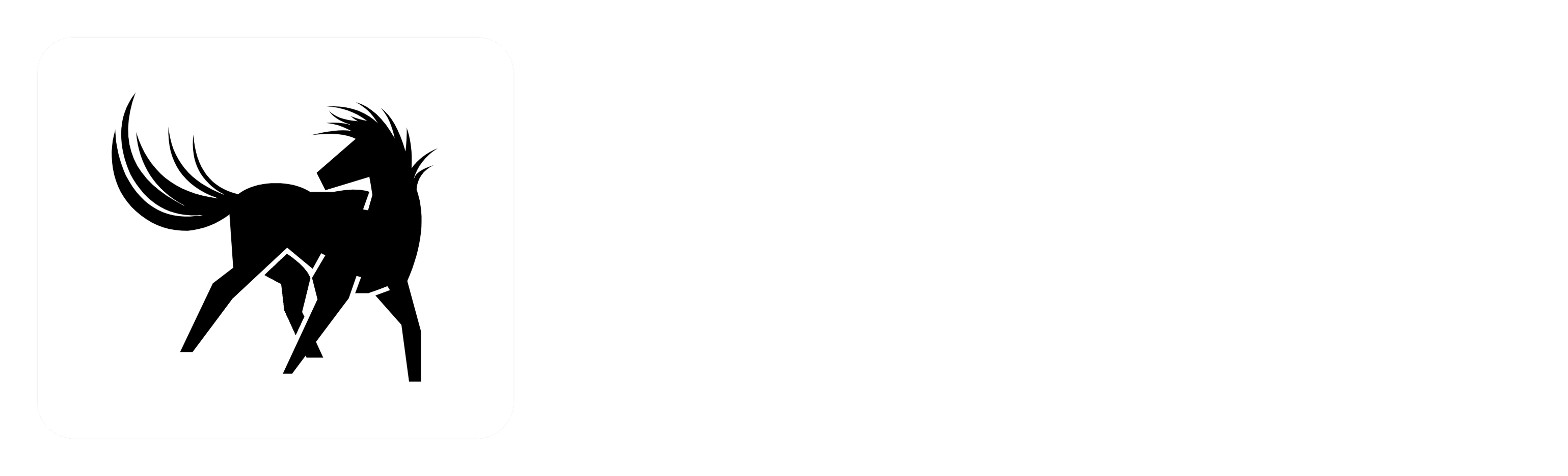 Campeonato Brasileiro de Salto 2024 bate recorde de participantes